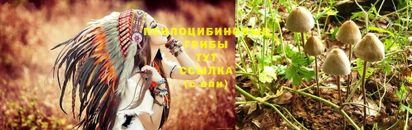 каннабис Липки